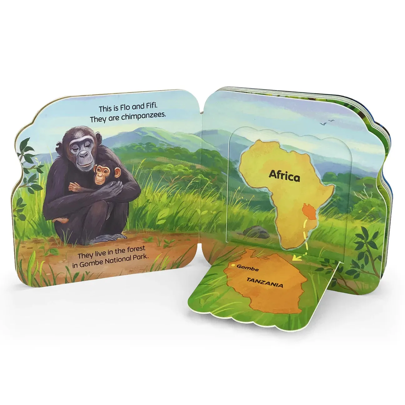 Chimpanzees: Jane & Me Book